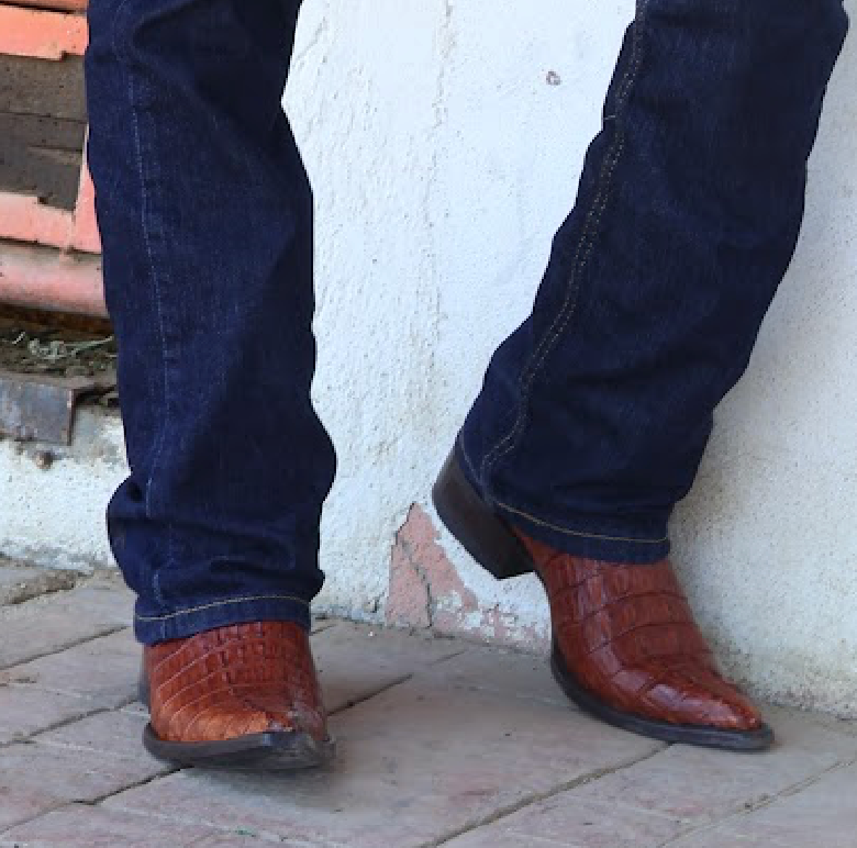 Bota Vaquera Chihuahua Cocodrilo Cola Coñac
