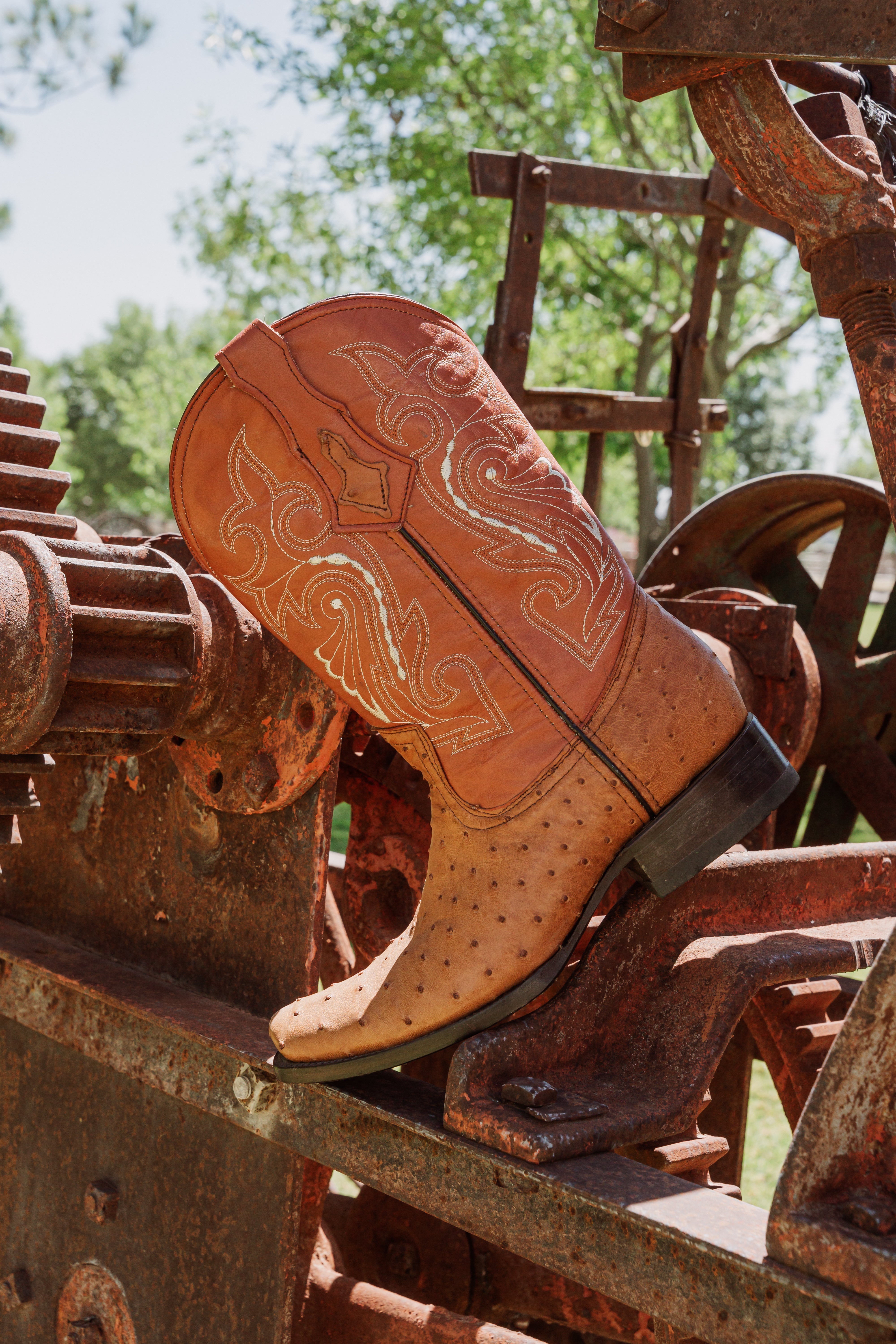 Bota Vaquera Dubai Avestruz Coñac