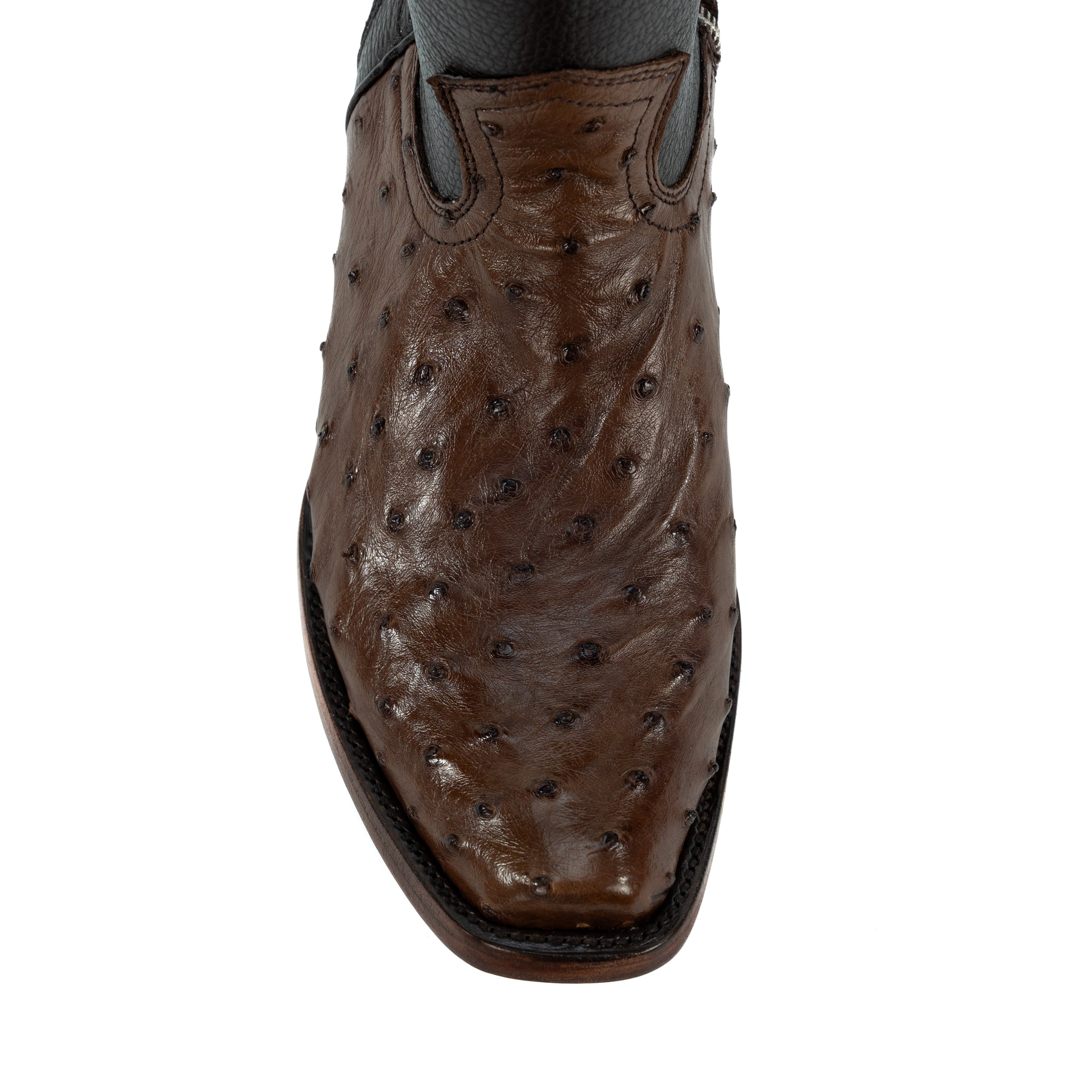 Botin Dylan Piel De Avestruz