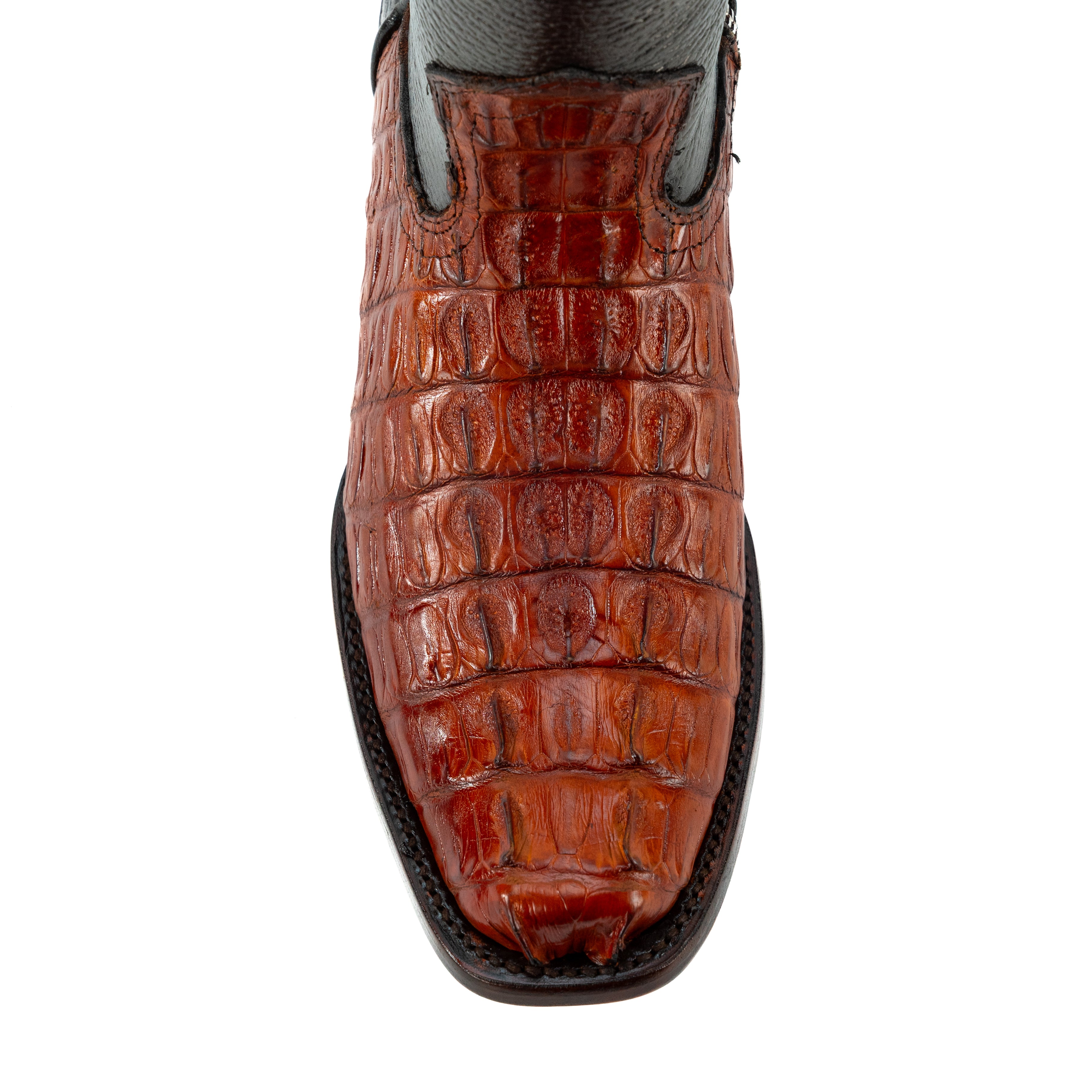 Botin Dylan En Piel De Cocodrilo