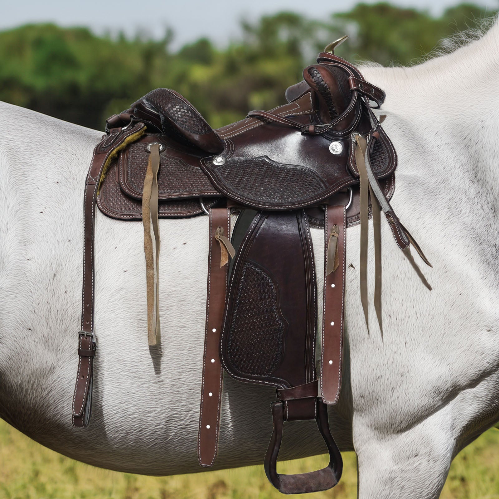 Montura musqueña vaquera