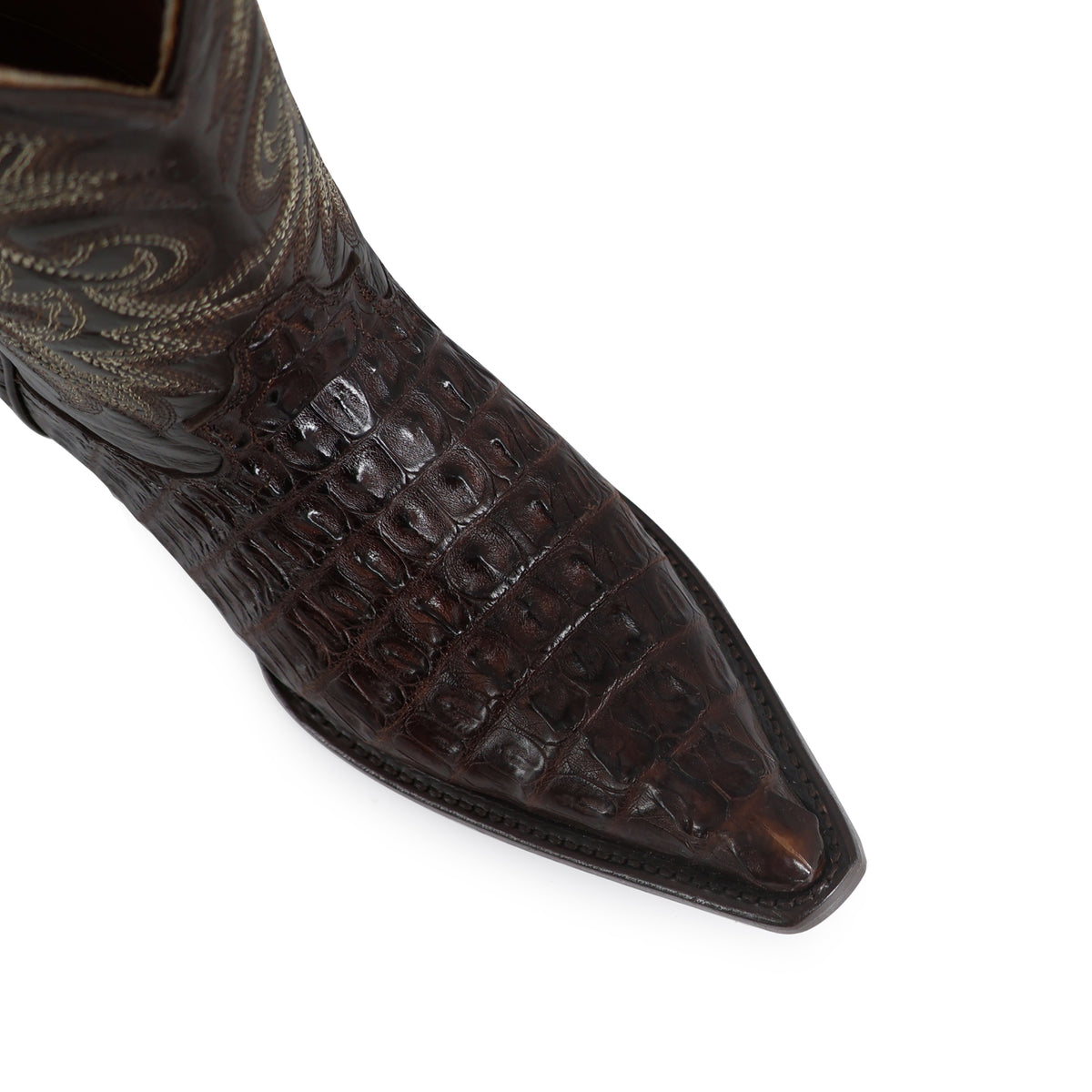 Botas de Cocodrilo Cola Imitacion Chihuahua para Niño ROD-COCA